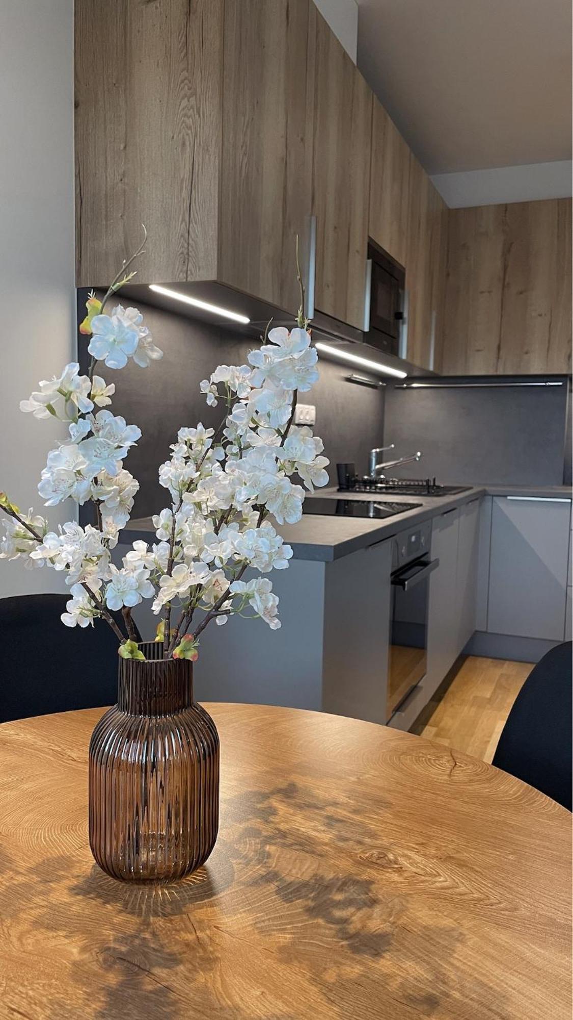 Modern Stylish With Private Garage Apartment *