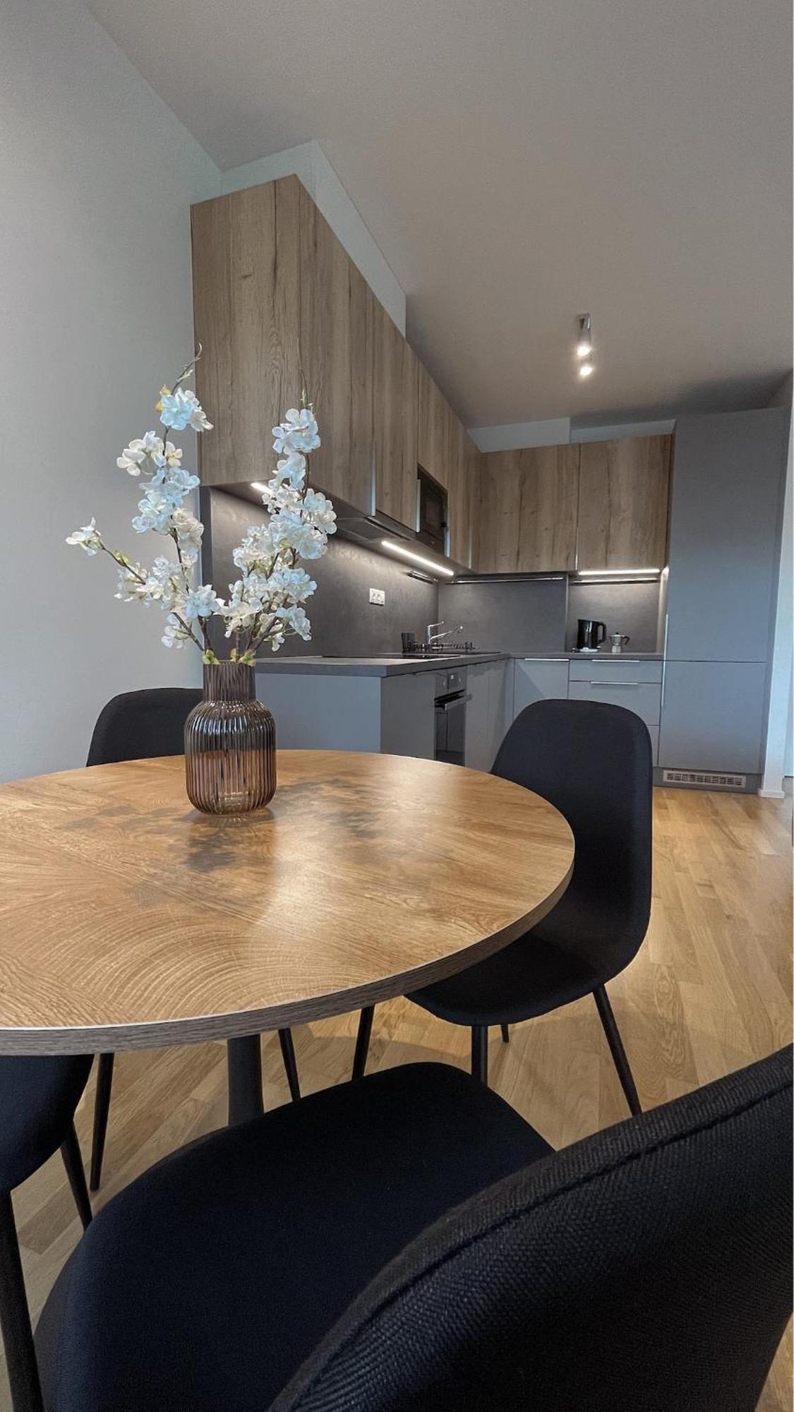 Apartment Modern Stylish With Private Garage